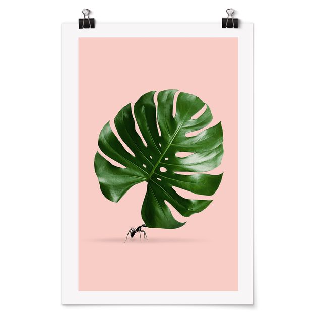 Plakater kunsttryk Ant With Monstera Leaf