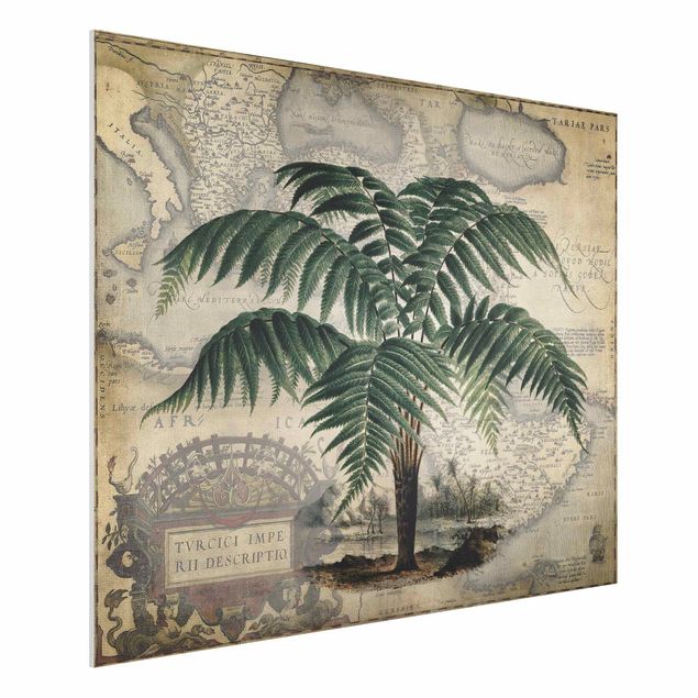 køkken dekorationer Vintage Collage - Palm And World Map