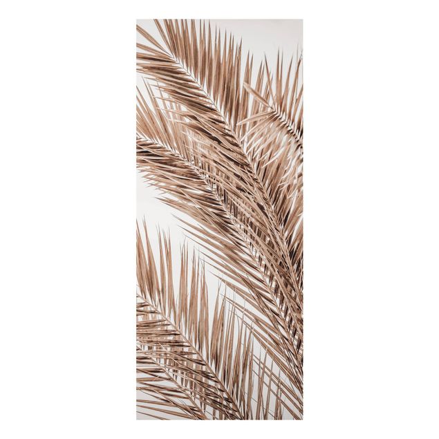 Billeder landskaber Bronze Coloured Palm Fronds