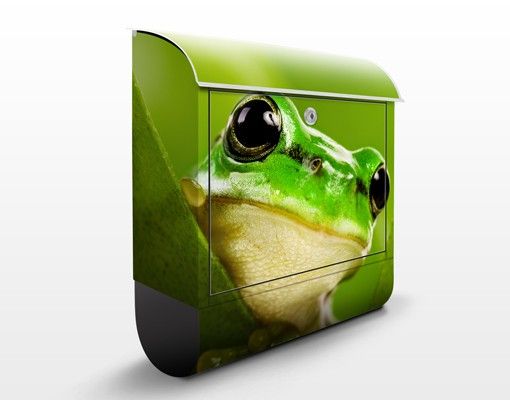 Postkasser dyr Frog
