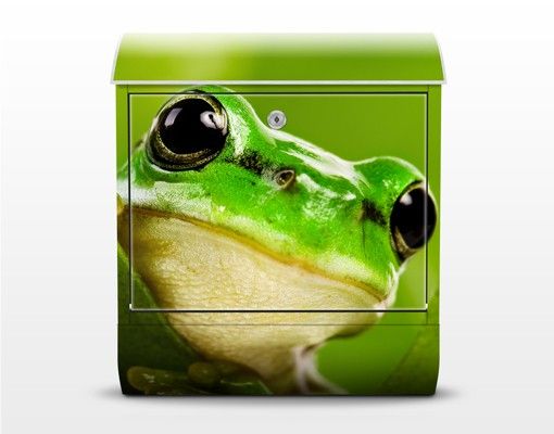 Postkasser grøn Frog