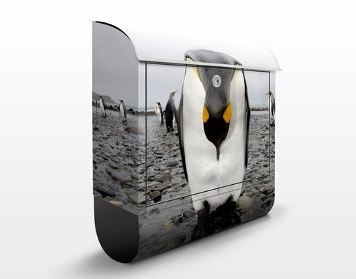 Postkasser dyr Penguin