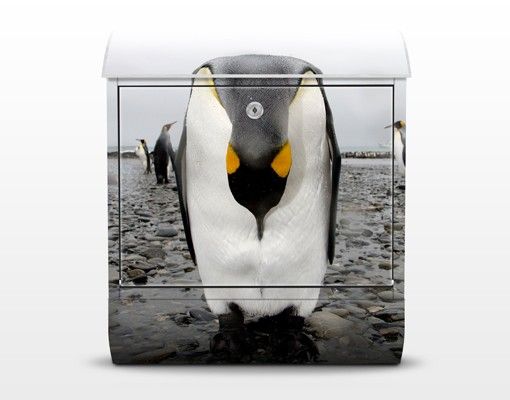 Postkasser Penguin