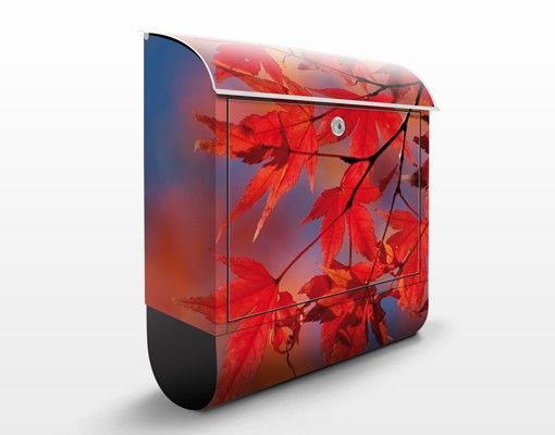 Postkasser landskaber Red Maple