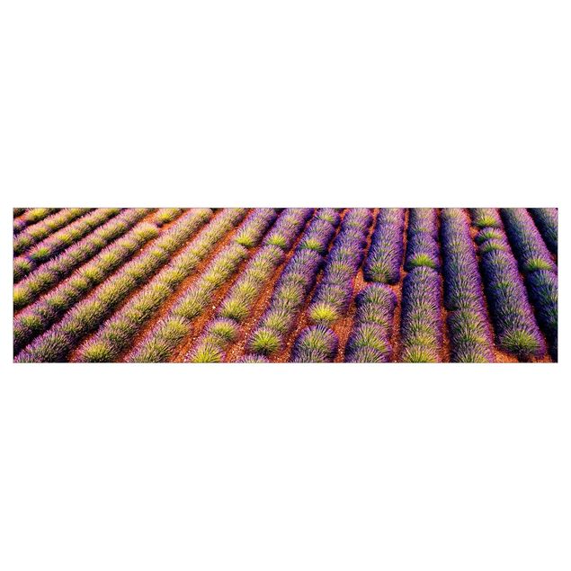 Selvklæbende folier Picturesque Lavender Field