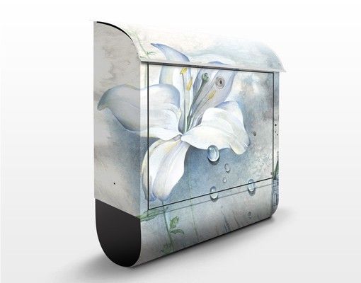 Postkasser blomster Tears Of A Lily