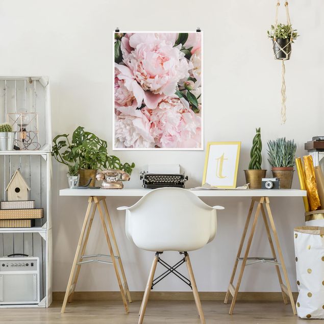 Plakater blomster Peonies Light Pink