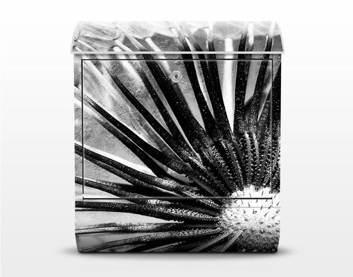 Postkasser sort og hvid Dandelion Black & White
