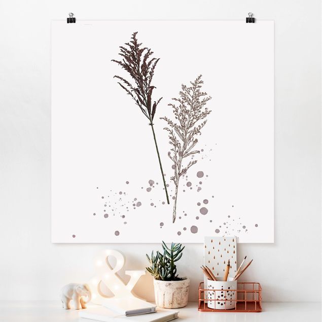 Plakater blomster Botanical Watercolour - Fescue Reed