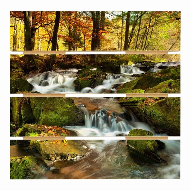 Prints på træ Waterfall Autumnal Forest