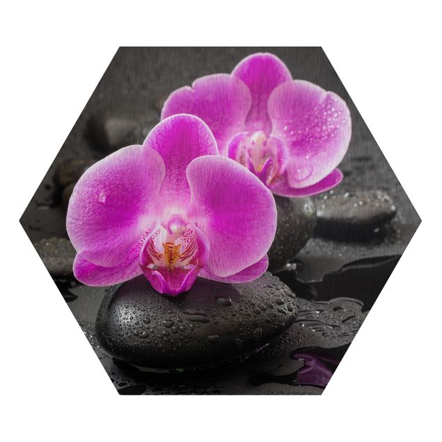 Billeder kunsttryk Pink Orchid Flower On Stones With Drops