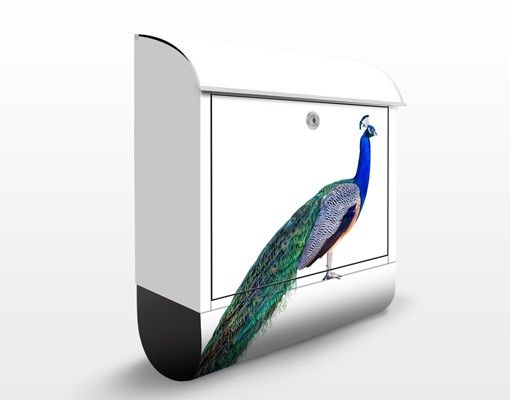 Postkasser dyr Peacock