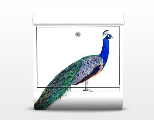 Postkasser farvet Peacock