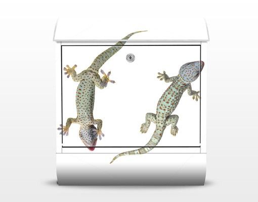 Postkasser grøn Nosey Geckos