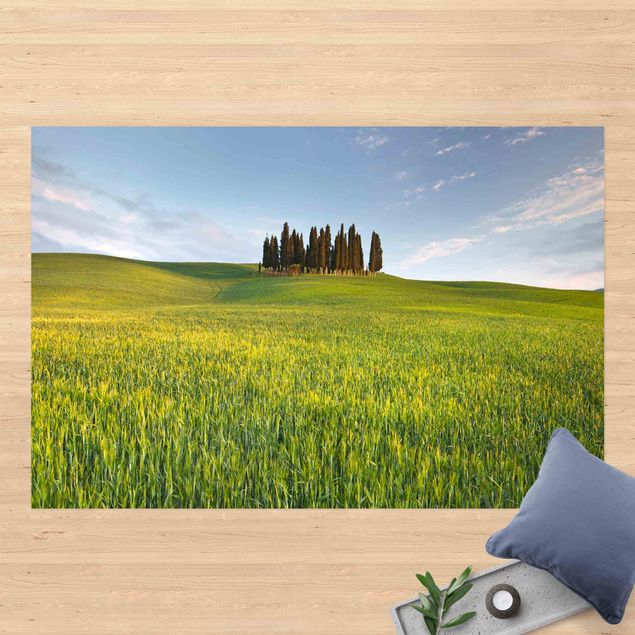 Udendørs tæpper Green Field In Tuscany