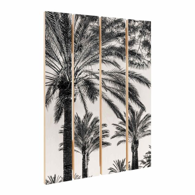 Billeder Palm Trees At Sunset Black And White