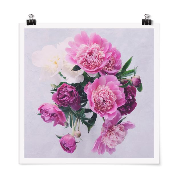 Billeder blomster Peonies Shabby Pink White