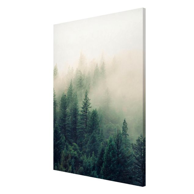 Billeder landskaber Foggy Forest Awakening