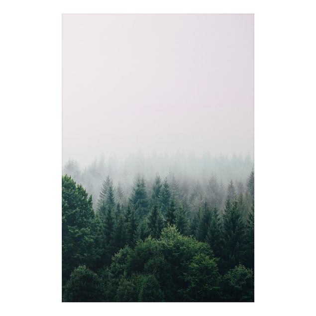 Billeder træer Foggy Forest Twilight