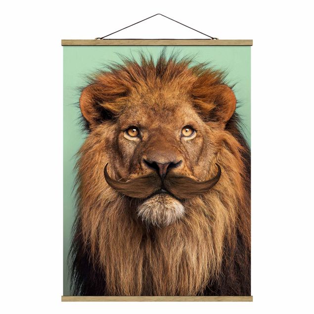 Billeder Afrika Lion With Beard