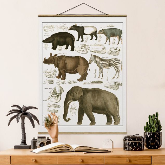 køkken dekorationer Vintage Board Elephant, Zebra And Rhino