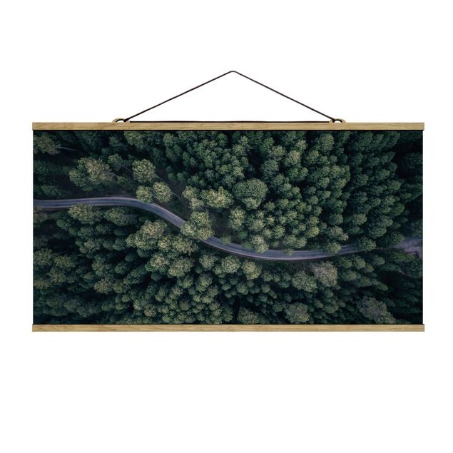 Billeder natur Aerial View - Forest Road From The Top