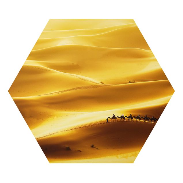Billeder dyr Golden Dunes