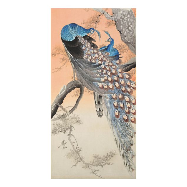 Billeder retro Vintage Illustration Asian Peacock L