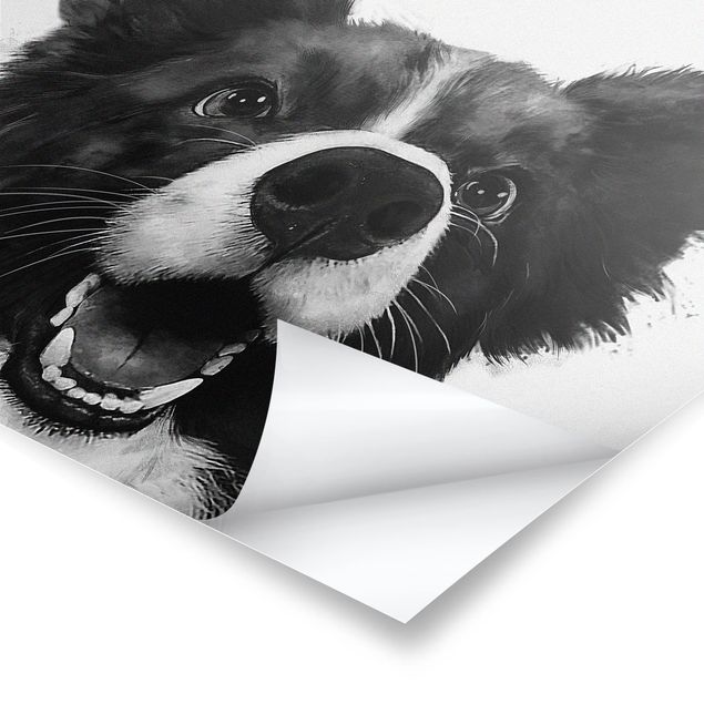 Billeder Laura Graves Art Illustration Dog Border Collie Black And White Painting