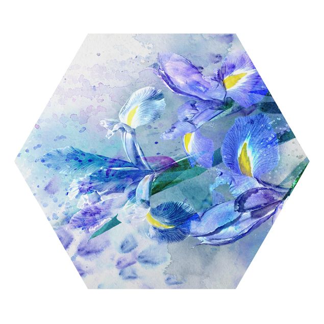 Billeder blå Watercolour Flowers Iris