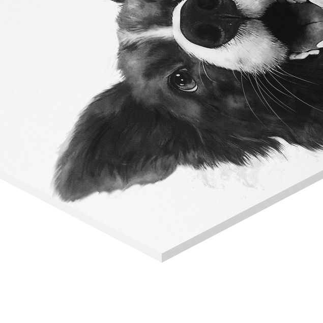 Billeder Illustration Dog Border Collie Black And White Painting