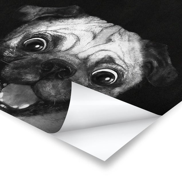 Billeder sort og hvid Illustration Dog Pug Painting On Black And White
