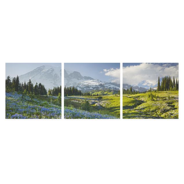 Billeder på lærred blomster Mountain Meadow With Blue Flowers in Front of Mt. Rainier