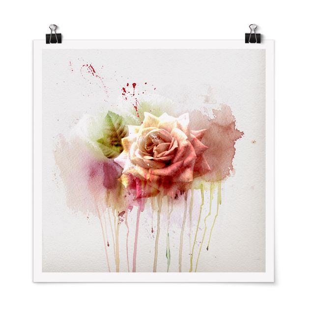 Billeder blomster Watercolour Rose