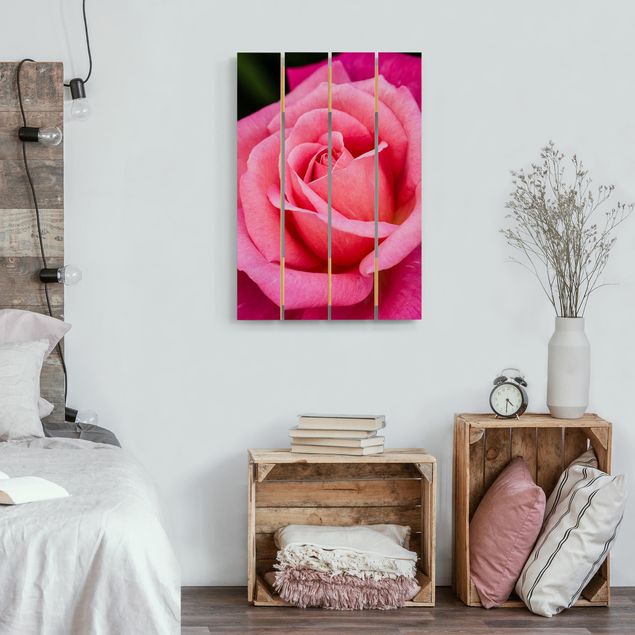 Prints på træ blomster Pink Rose Flowers Green Backdrop