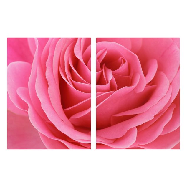 Billeder blomster Lustful Pink Rose