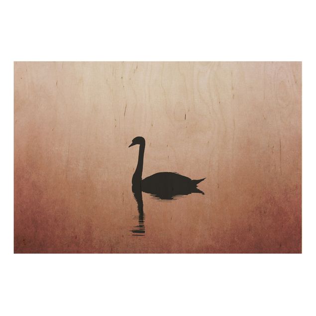 Prints på træ landskaber Swan In Sunset
