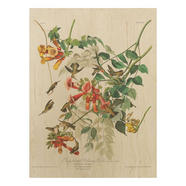 Prints på træ blomster Vintage Board Hummingbirds