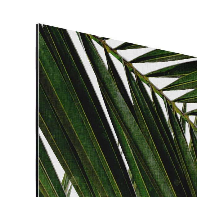 Billeder kunsttryk View Through Green Palm Leaves