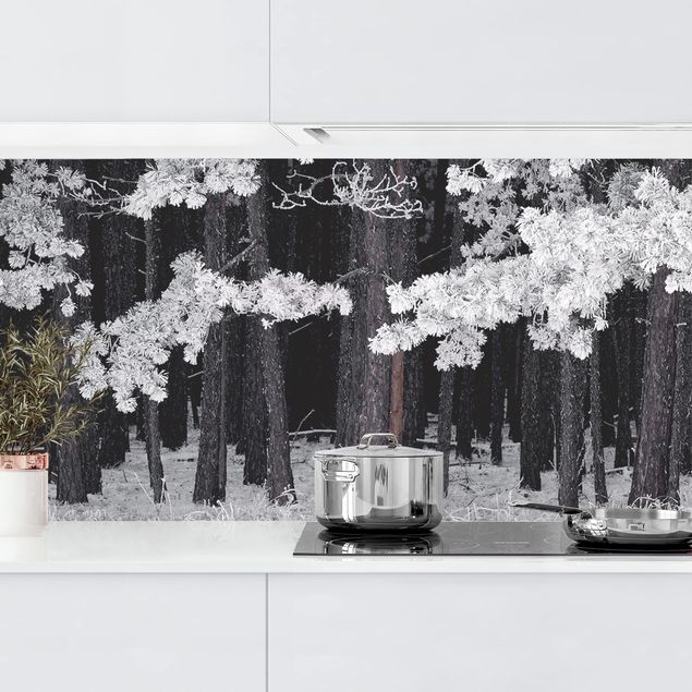køkken dekorationer Forest With Hoarfrost In Austria