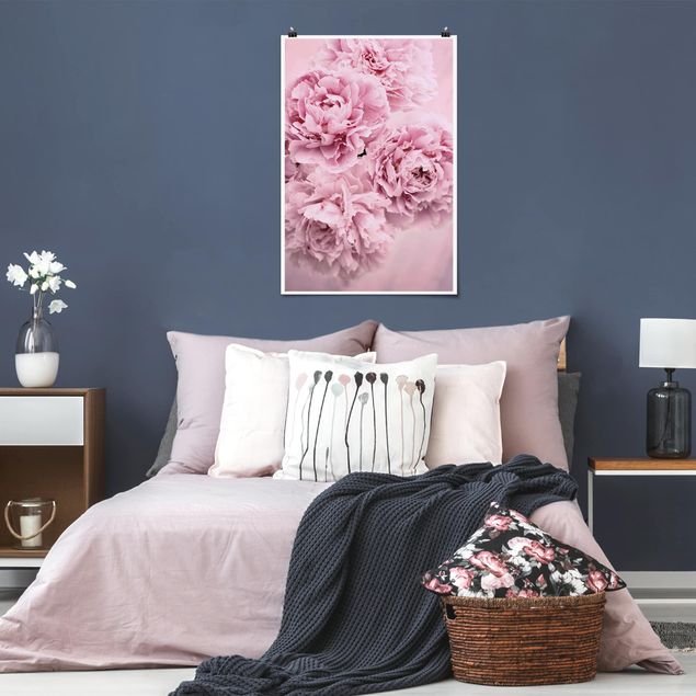 Plakater blomster Pink Peonies