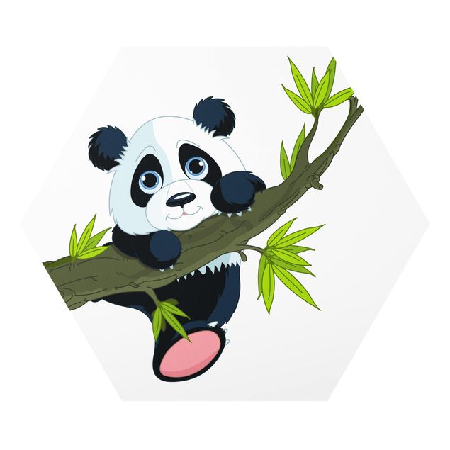 Billeder natur Climbing Panda