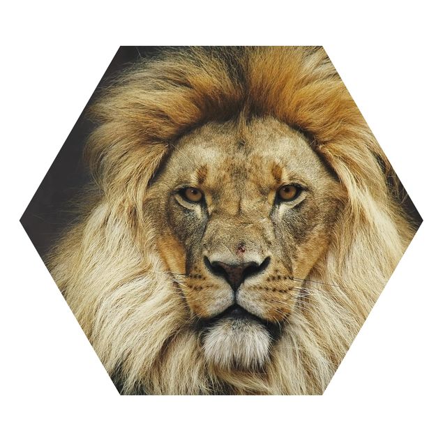 Billeder gul Wisdom Of Lion
