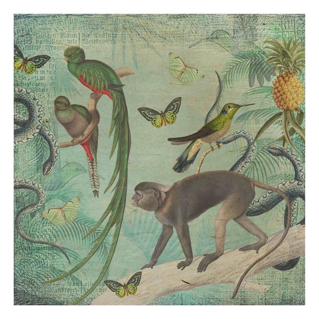 Prints på træ blomster Colonial Style Collage - Monkeys And Birds Of Paradise