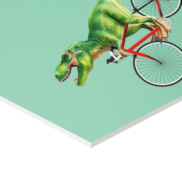 Billeder Jonas Loose Dinosaur With Bicycle