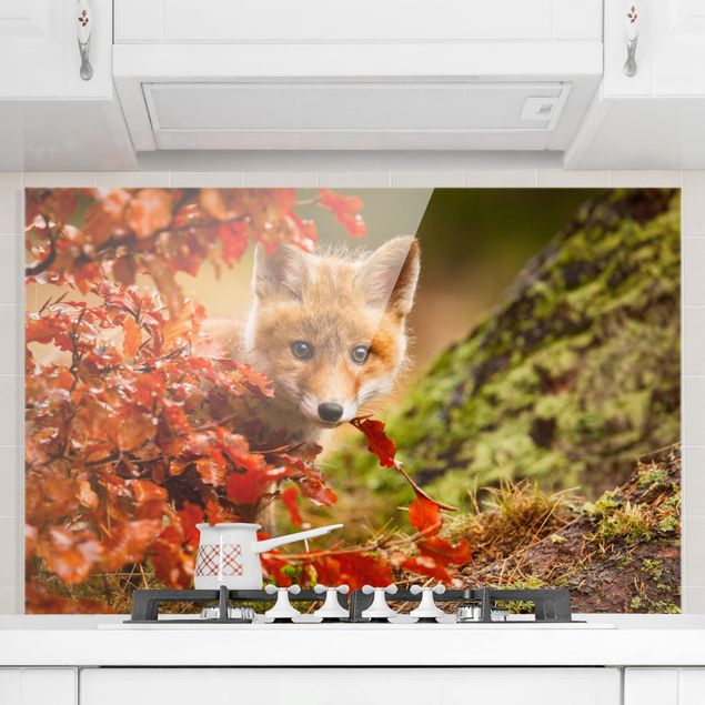 køkken dekorationer Fox In Autumn