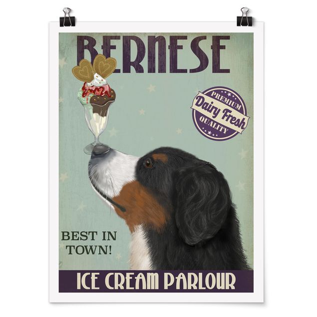 Plakater dyr Bernese Mountain Dog With Ice