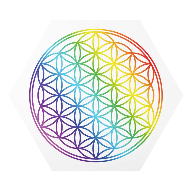 Forex Flower of Life rainbow color