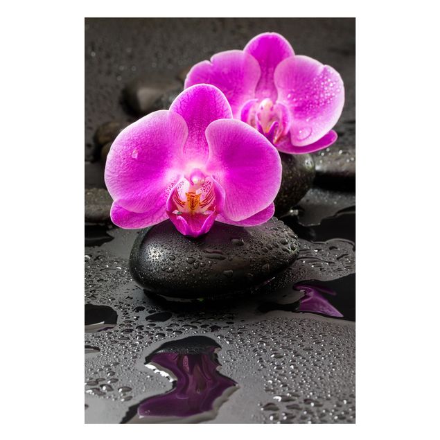 køkken dekorationer Pink Orchid Flower On Stones With Drops