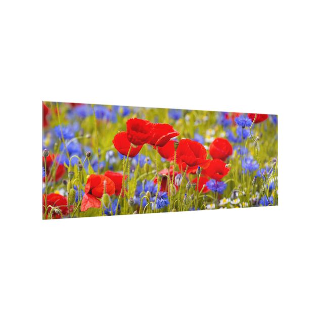 Stænkplader glas Summer Meadow With Poppies And Cornflowers
